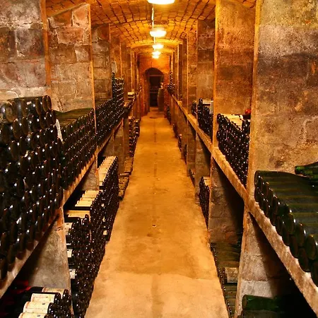 Ferienwohnung Weingut Kloster Pforta Naumbourg Chambre photo